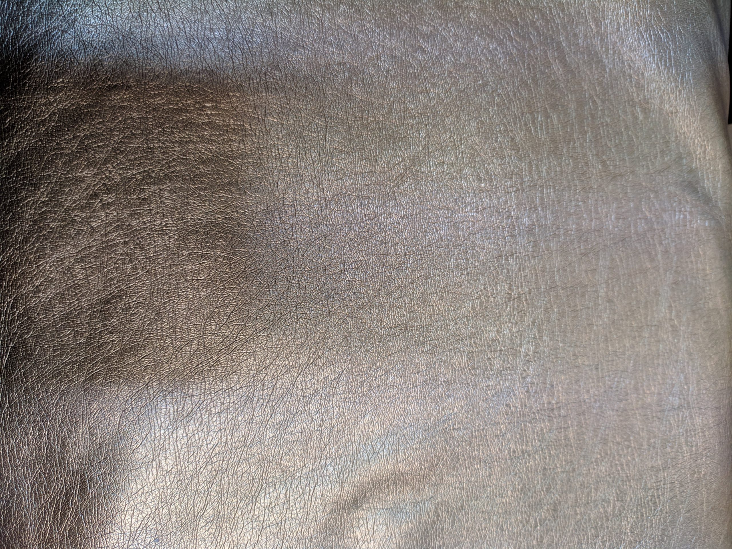 00000IMG_00000_BURST20190809131553389_COVER.jpg